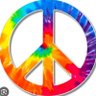 Jihadis for Peace's profile picture