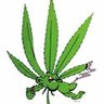 thc_dot_com profil fotoğrafı