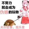A酱今天硬邦邦了吗 的头像