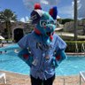 Brett's profile picture