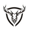 Night City Forum's profile picture