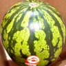 元プレジデントクラブ☆青山そら☆ 的头像