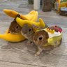 Profilbild von れいあ