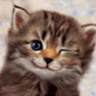 かず profil fotoğrafı