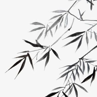 zhuludom's profile picture