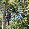 Profilbild von Liam (Tree Boy)