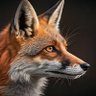 Profilbild von てんこ