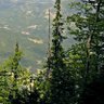Фото профиля vrancov