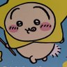 yu_kurukuru's profile picture