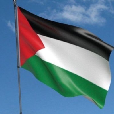 macgiolla's profile picture