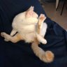 so’stanca's profile picture