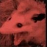 Profilbild von AmineX