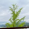 Фото профиля サイトウ3