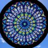 カラメル's profile picture