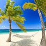 Фото профиля BeachMoney