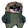 Profilbild von realokieman502