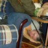Nes_ebr's profile picture