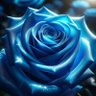 Larme_d'Ange's profile picture