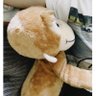 mikko's profile picture