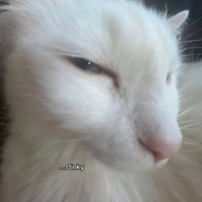 girlitsgs's profile picture