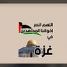 نبض اليمن 的头像