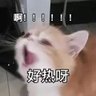 独酌无相亲 的头像