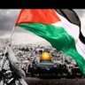 🇵🇸🇾🇪Sami Muhamad R 的头像