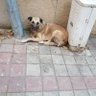clair profil fotoğrafı
