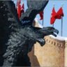Selçuk's profile picture