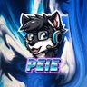 PEIE profil fotoğrafı
