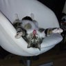Profilbild von Katje