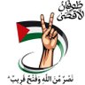 Mona Magdy's profile picture