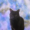Muu🤾♂️🛌🧞♂️'s profile picture