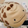 さんしょううお💮ハイ㌍'s profile picture