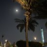 Profilbild von طلال