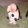 Profilbild von Lara☭