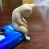 三毛猫 的头像