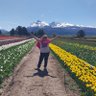 Profilbild von Rosa de patagonia
