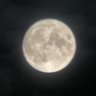 sea_glass8's profile picture