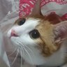 るる♡すず profil fotoğrafı