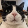 computerow's profile picture