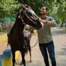 jimesh patel's profile picture