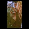 Tayseer's profile picture