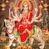 Soumya's profile picture