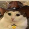 scoto ayam's profile picture