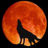 James wolf's profile picture
