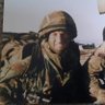 Profilbild von Light Infantry.