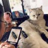 PINaKA profil fotoğrafı