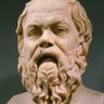 Common Sense Enjoyer's profile picture