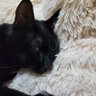 jean profil fotoğrafı